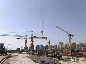 泗涇房屋建設工程施工新動態 規劃藍圖邁向現實