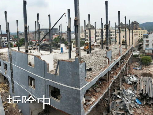 違法私建廠房偽造印章，某家具廠“任性”施工引關注